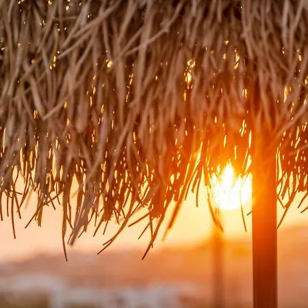 White Cocoon Exclusive