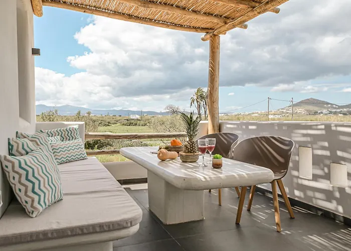 White Cocoon Exclusive *