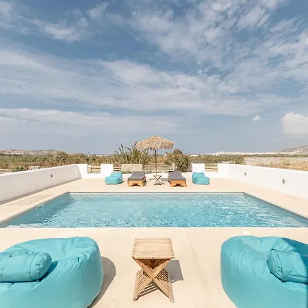 White Cocoon Exclusive