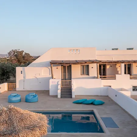 White Cocoon Exclusive *