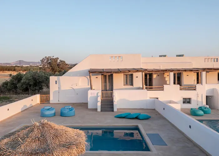 White Cocoon Exclusive *